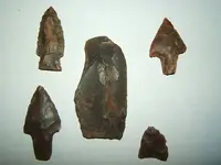 DSCF1269.webp