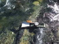 sluice sth yuba.webp