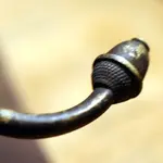 NC FINDS 1-9 008.webp