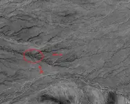 Cuevas Trace  37799.webp