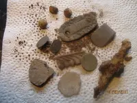 Newsiteand TallioSitefinds.webp