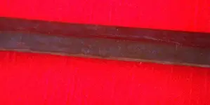 DSCN7037.webp
