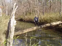 Hunting The Wild Kiamichi 003.webp
