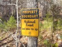 Hunting The Wild Kiamichi 005.webp