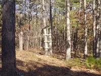 Hunting The Wild Kiamichi 006.webp