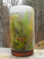 DSCF0052.webp