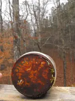 DSCF0053.webp