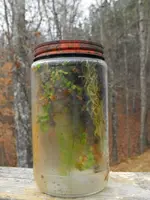 DSCF0054.webp