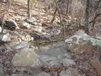 Hunting The Wild Kiamichi 008.webp