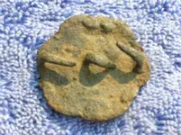 Rosette-B.jpg.webp