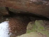 DSCF1283.webp