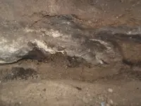 DSCF1285.webp