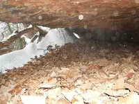 DSCF1282.webp