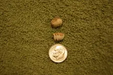 DSC01139.webp