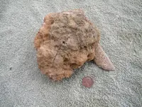 DSCN0706.webp