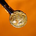 nc finds 11-25 020.webp