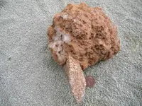 DSCN0707.webp