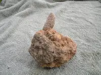DSCN0708.webp