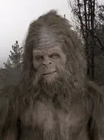 MessinWithSasquatch_1.webp