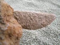 DSCN0714.webp