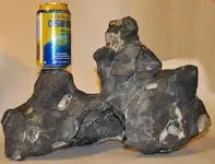 _Meteorite.webp