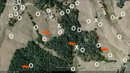 old farm 4.webp
