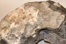 Meteorite-7.webp