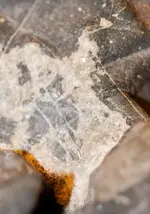 Meteorite-8.webp