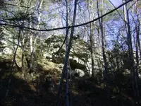 php3uEQKVPM.webp