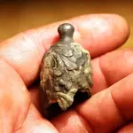 nc finds 12-1 007.webp