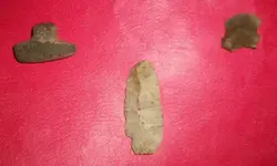 100_0941.webp