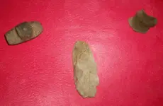 100_0942.webp