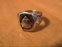 Dec21-2010ring.webp