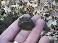 NOV 19TH HUNT WITH THE GANG.33 RD COPPER 002 [].webp
