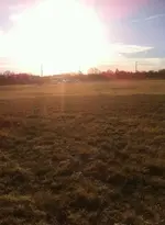 ball field.webp
