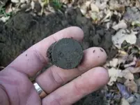 NOV 19TH HUNT WITH THE GANG.33 RD COPPER 003 [].webp