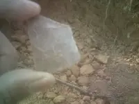 DSCF0017.webp