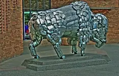 HDR 6.webp