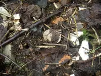 DSCN95130001.webp