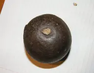 DSCF0880.webp