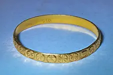 SentosaHunt-05Feb2011-ring.webp