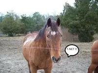 Mill 4.webp