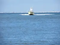 IMG_0352.webp
