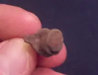 Finds from 1-1-11 #1.webp