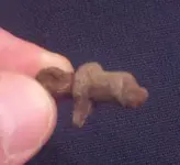 Finds from 1-1-11 #2.webp