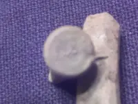 Finds from 1-1-11 #5.webp