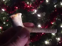 Clay pipe found Dec 10 2010 004.webp