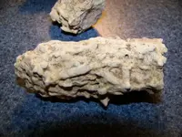 100_7204.webp