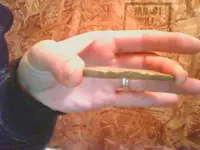 Picture0086.webp