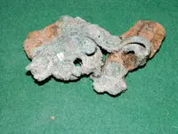 DSCN4807.webp
